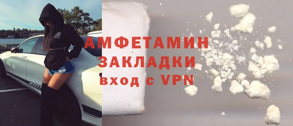 СК Алексин