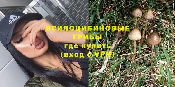 PSILOCYBIN Алзамай