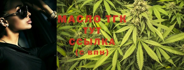 СК Алексин