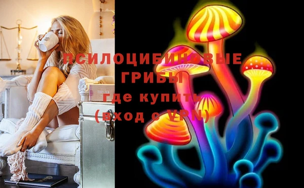 СК Алексин