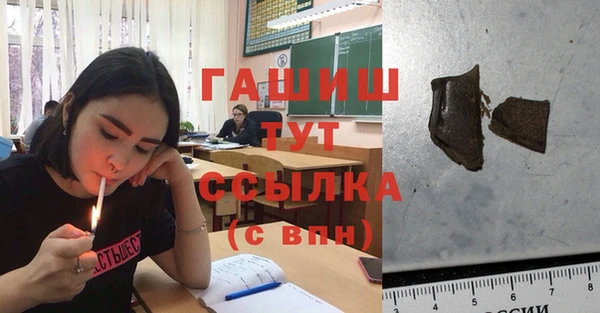 PSILOCYBIN Алзамай