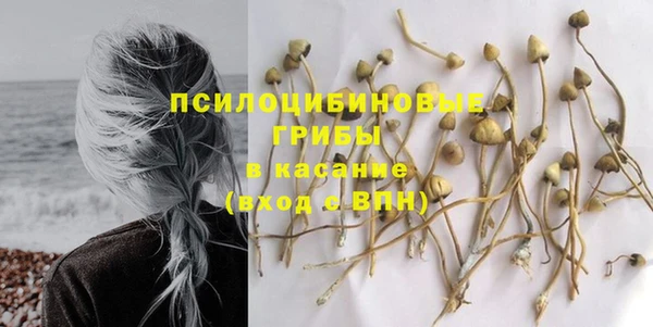 PSILOCYBIN Алзамай