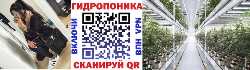 Канабис LSD WEED  купить  сайты  Сенгилей 